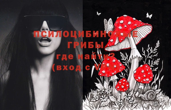 СК Михайловка