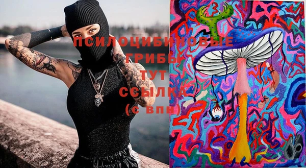 ешки Михайлов