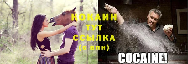 ешки Михайлов